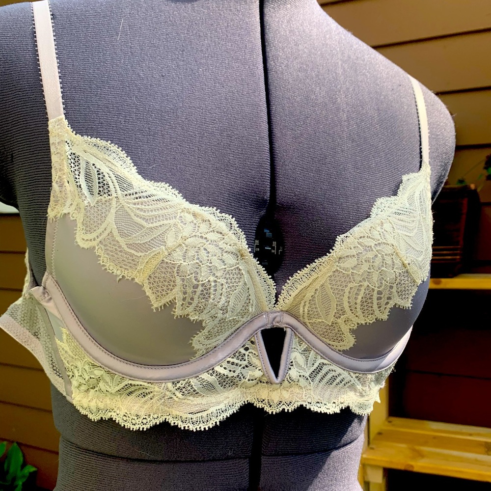 Calvin Klein Purple Silk Bra Lace